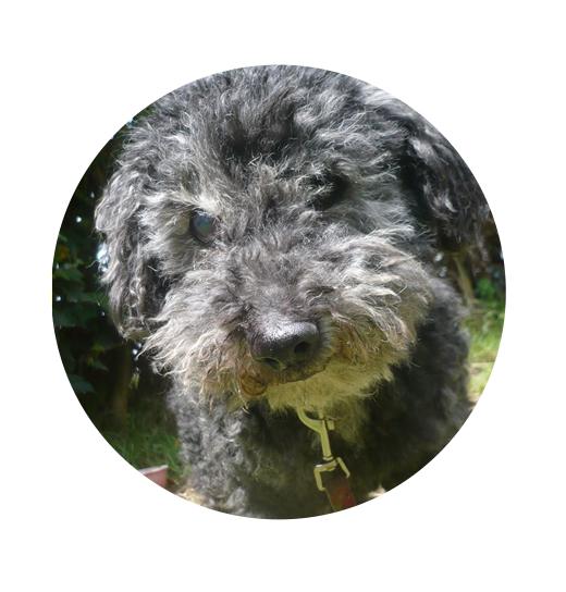 ¡Les presento a TOPO!