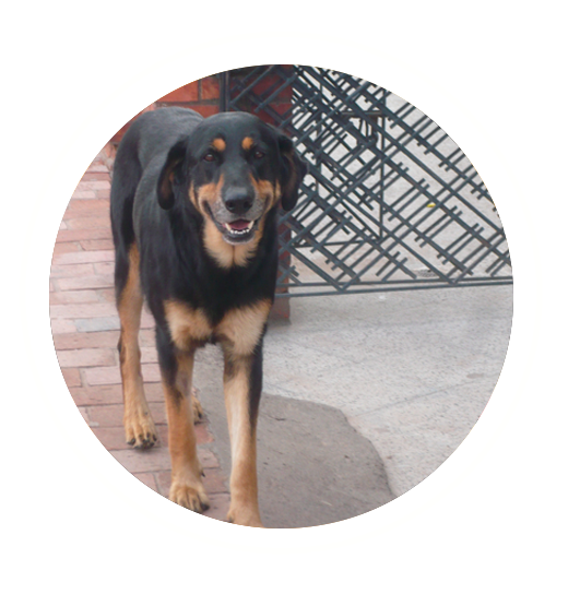 Una lección para aprender