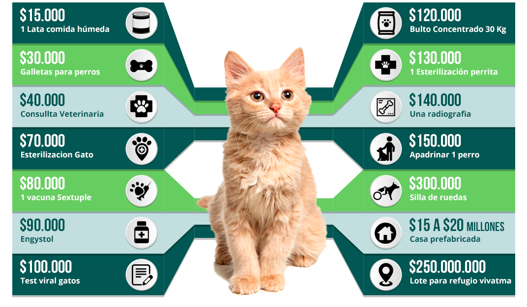 ¿Qué podemos hacer con las donaciones?