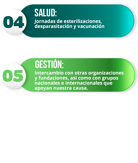 Lo que hacemos paso a paso