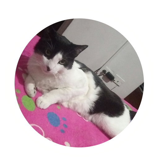 Felix or A Painful Rescue