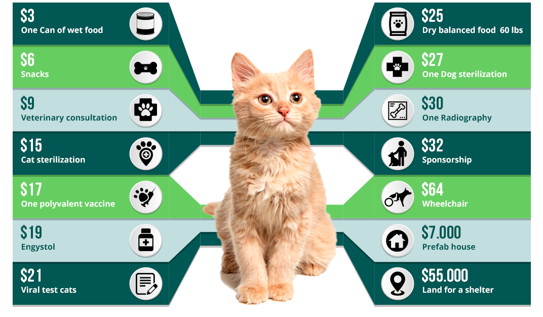 ¿What can we do with donations?