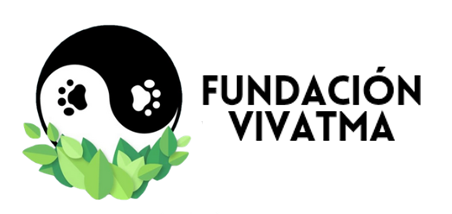Logo Fundation Vivatma