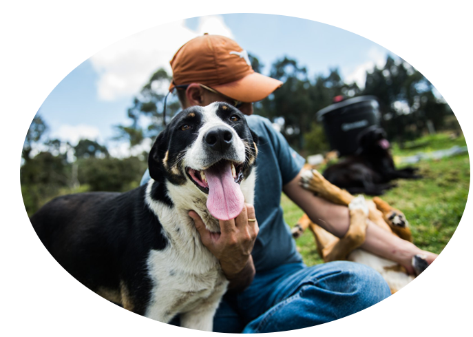 The VIVATMA Foundation (Universal Soul)